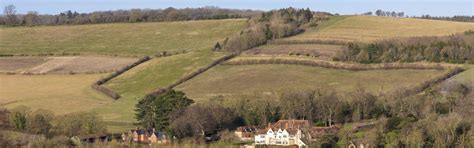 Rectory Farm Chalk Grassland Restoration Trial Mend The Gap