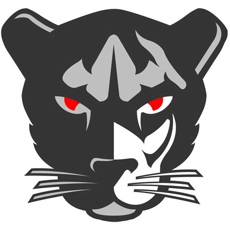 Saint Mary Amp 39 S Panthers Boys Tennis Albany Ca High School On Si