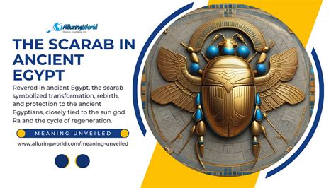 Ancient Scarab Beetle Meaning Explained