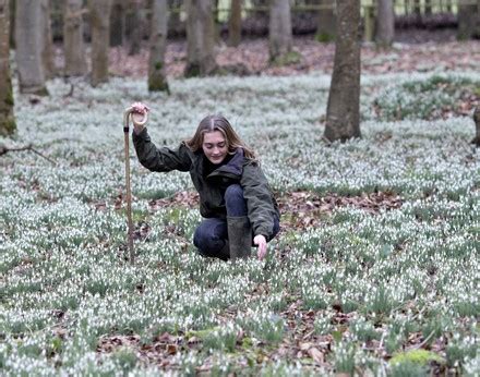 Seasonal Weather Welford Park Newbury Uk 31 Jan 2021 Stock Seasonal Weather Welford Park Newbury Uk 31 Jan 2021 Stock