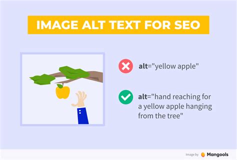 Seo Alt Text