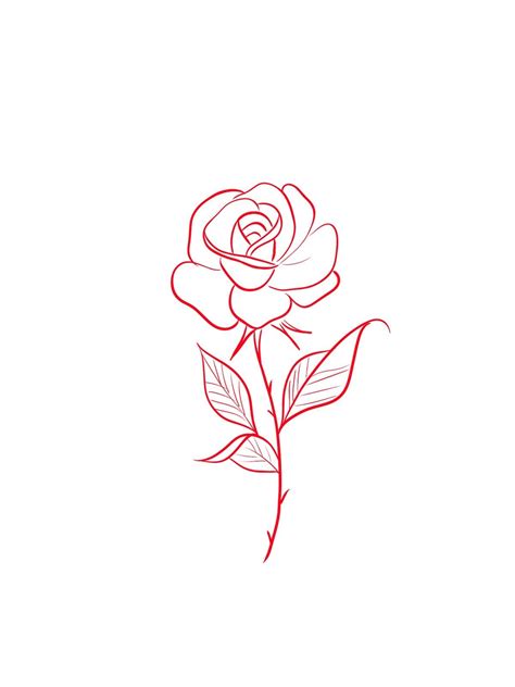 Simple Rose Tattoo Outline Watercolor Tattoo Design