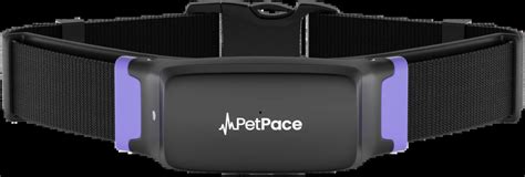 Smart Pet Health Tracker Petpace Packaging