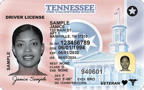 State Of Tennessee Healthcare License Verification