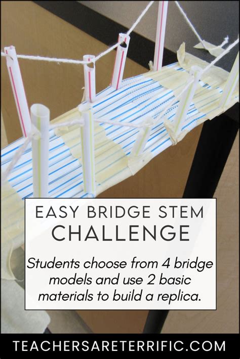 Stem Bridge Building Activity