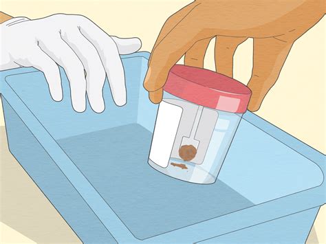 Easy, ethical stool sample collection guide