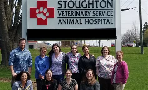 Stoughton Veterinary Service Your Caring Pet Hospital In Stoughton