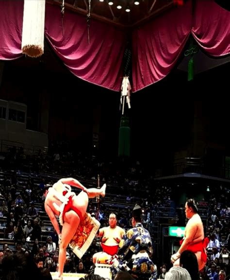 Sumo The National Sport Of Japan Guidable Your Guide To Life In Japan