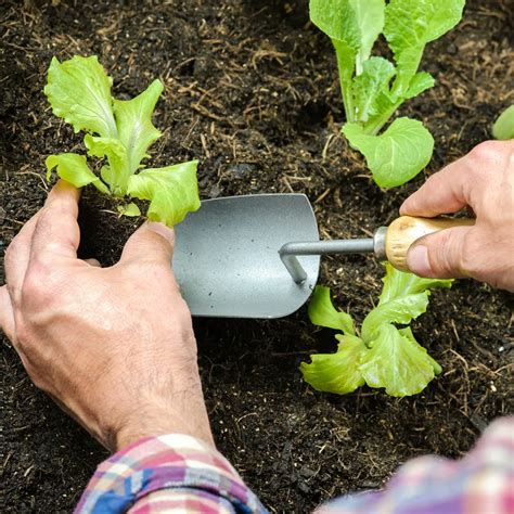 Sutton College On Twitter Amp Quot Get Green Fingered This Spring With A