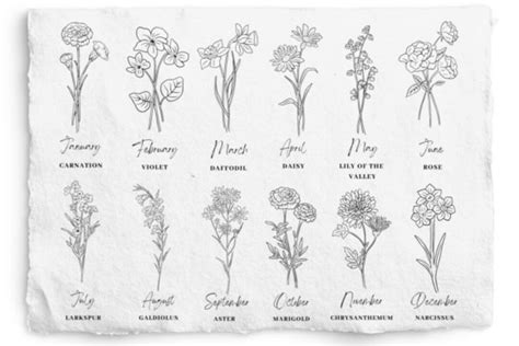 Svg Png Etsy Birth Flower