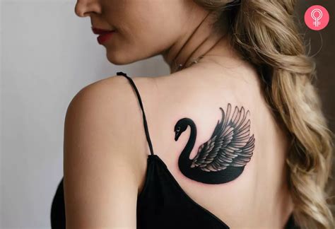 Swan Tattoo Meaning 8 Unique Design Ideas And Symbolism