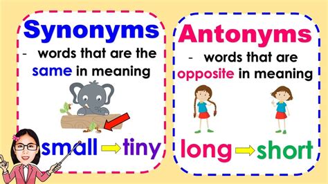 Synonyms Antonyms Differences Types Examples Video