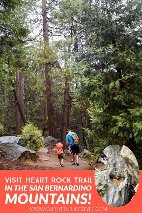 Taming The Trails San Bernardino County Trail Runs In Montclair California