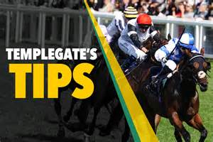 Templegate The Sun Horse Racing Tipster Horse Racing