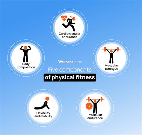 The 5 Components Of Fitness Diagram Quizlet
