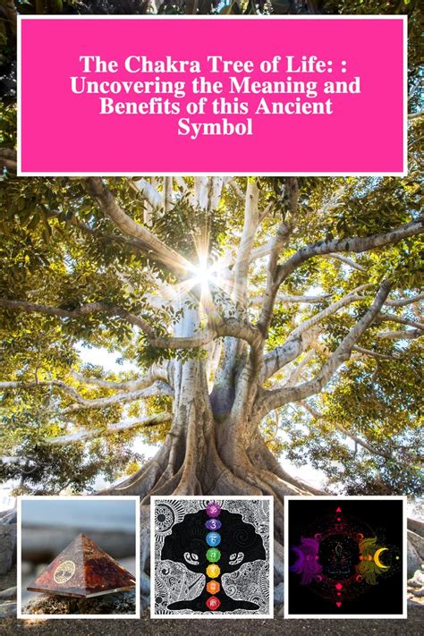 The Chakra Tree Of Life Uncovering The Meaning And Benefits Of This