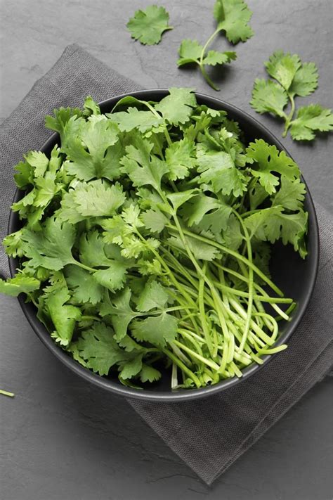 The Cilantro One Sheet Everything You Need To Know About Cilantro