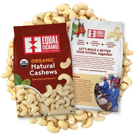 The Dark Side Of The Cashew Industry Equal Exchange Resource Center