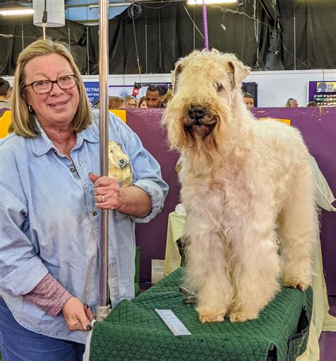 The Martha Stewart Blog Blog Archive The 144Th Westminster Kennel