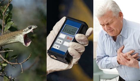 The Most Painful Ways To Die According To Science