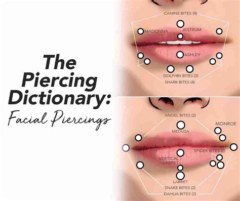 The Piercing Dictionary Facial Lip Piercings
