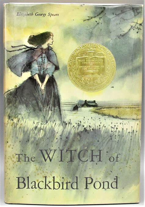 The Witch of Blackbird Pond Mystery Unveiled