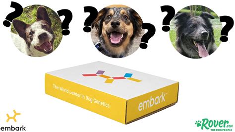 These Mixed Breed Dogs Each Took A Dna Test Can You Guess The Results