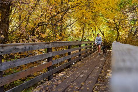 Things To Do In Davis County Discover Davis Discover Davis