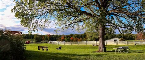 Things To Do In Farmington Hills In 2026 Expedia