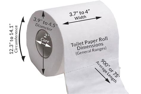Toilet Paper Roll Circumference Toilet Paper Roll Circumference