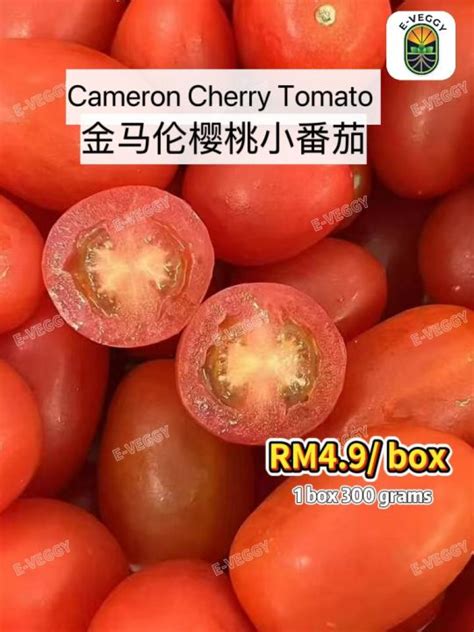 Tomato Box Pre Order