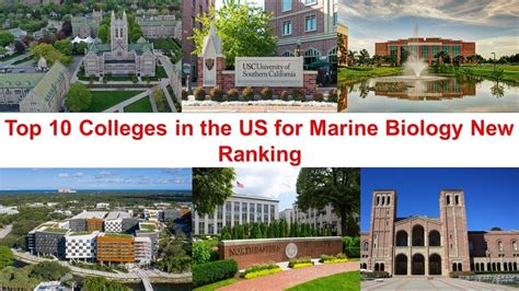 Top Marine Biology Universities