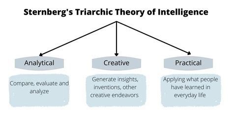 Triarchic Theory of Intelligence: Unveil Insights