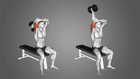 Tricep Overhead Extension Benefits Muscles Worked And More Inspire Us