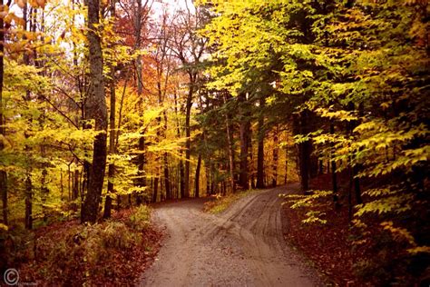 Two Roads Diverged in a Yellow Wood: The Choices Life Offers