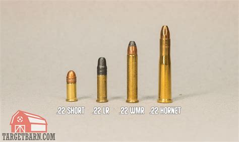 Types Of 22 Ammo The Broad Side