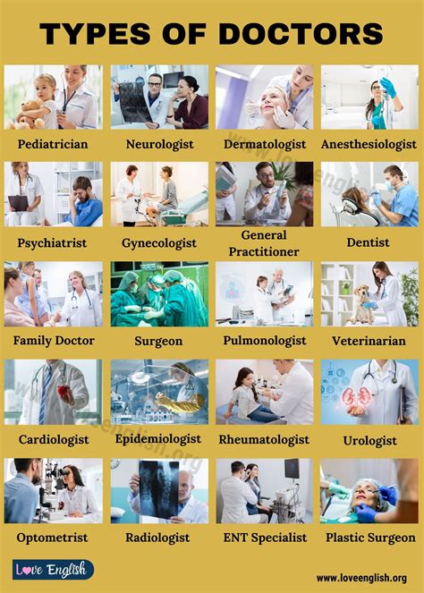 Types Of Doctors Common Types And What They Do