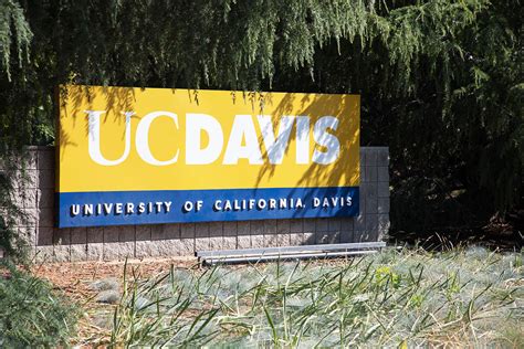 Uc Davis 13 Things To Do In Davis