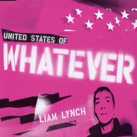 United States Of Whatever Song And Lyrics By Liam Lynch Spotify