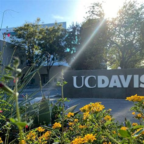 UC Davis Email Hacks: Insider Tips Revealed