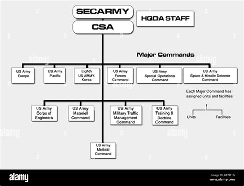 Us Army Organization Chart Stock Photo Alamy
