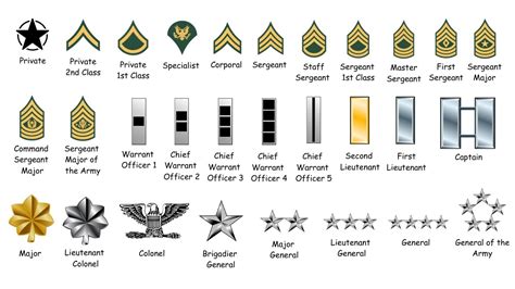 Us Army Ranks In Order