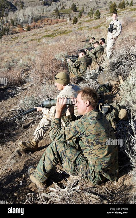 Us Marines During High Angle Mountain Sniper Training Marine Corps Us Marines During High Angle Mountain Sniper Training Marine Corps