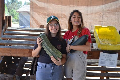 Veggielution S Eastside Connect Program Provides Fresh Farm Boxes For Impacted East San Jos 233 Families Blog City Of San Jos