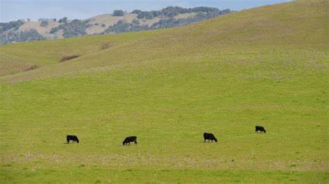 Visit Penngrove 2026 Travel Guide For Penngrove California Expedia