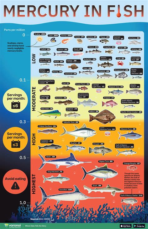 Visualized How Much Mercury Is In The Fish You Eat