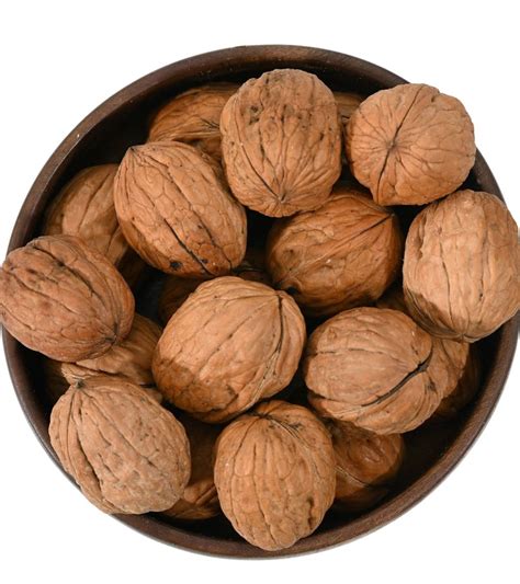 Walnut With Shell Zafran House