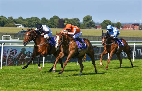 Wednesday Tips Dave Nevison Has Three Beverley Fancies
