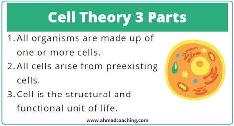 Cell Theory's Three Core Parts Revealed