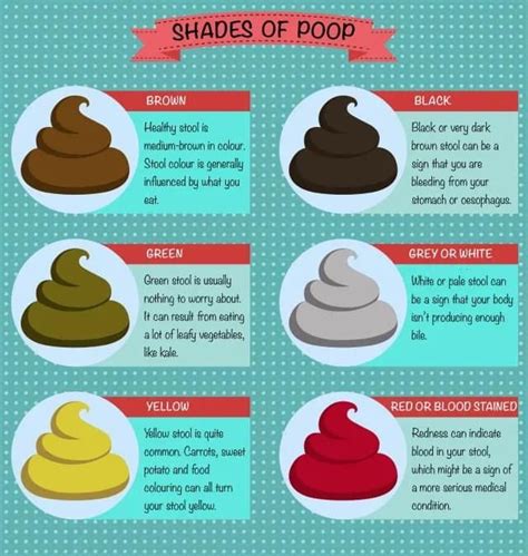 What Does It Mean When Your Poop Floats Yuri Elkaim